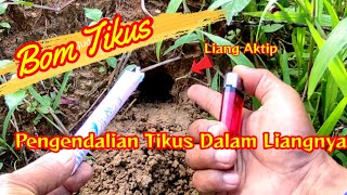 Bom Tikus Paling Ampuh Membasmi Tikus [upl. by Farleigh561]