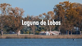 Una LAGUNA repleta de HISTORIA  Laguna de Lobos Buenos Aires [upl. by Russell]