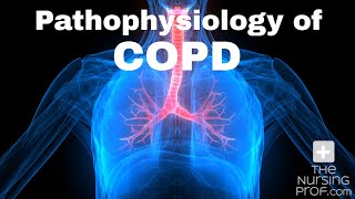 Pathophysiology of COPD [upl. by Siradal]