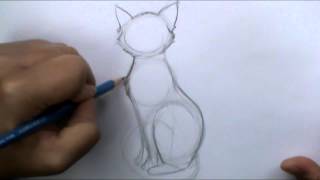 How to draw a basic cat sitting [upl. by Zantos491]