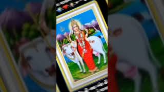 Gatrad maa WhatsApp status godhma dungar પૂનમ નો નજારો gatrad gatradmaa sorts song bhakti love [upl. by Sheaff]