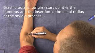 Meridian Pen Electric Acupuncture pen and how it works [upl. by Gudrun332]