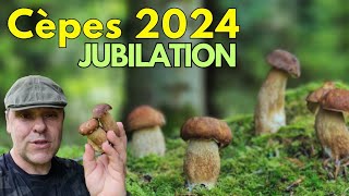 Cèpes 2024 🍄 Jubilation 🎊 La pousse démarre 🌱 Des indices cepes asmr nature [upl. by Akimit218]