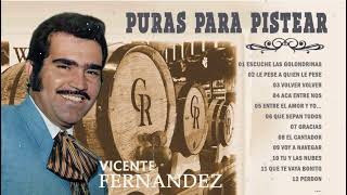 PURAS PARA PISTEAR SELECCIÓNADAS VICENTE FERNÁNDEZ MIX PERRONAS  LO MEJOR DE VICENTE FERNÁNDEZ [upl. by Suoirred]