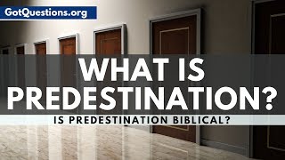 What is Predestination  Predestination in the Bible  GotQuestionsorg [upl. by Ermengarde]