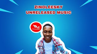 ZINOLEESKY UNRELEASED MUSIC 2024 [upl. by Ahc]