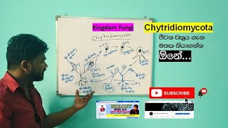 ChytridiomycotaKingdom Fungi ජීවන චක්‍රය ඕනේ [upl. by Sahcnip]