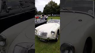 A SUPERB MG A EXHIBITED AT NEWBY HALL HISTORIC VEHICLE RALLY IN 2O24 [upl. by Aelegna545]