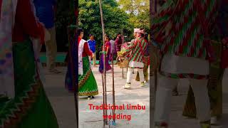 Traditional Limbu wedding shortsfeed love trending youtubeshorts ytshorts shorts video yt [upl. by Oliana401]