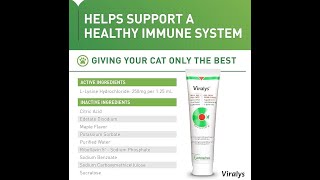 Vetoquinol Viralys Gel L Lysine Supplement for Cats [upl. by Nivrae323]