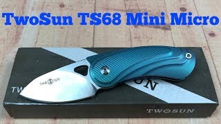 TwoSun TS68 Micro Mini Titanium Framelock M390 Flipper Knife Wong Design [upl. by Lemmor]