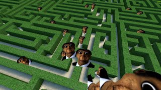 Obunga Maze [upl. by Nady161]