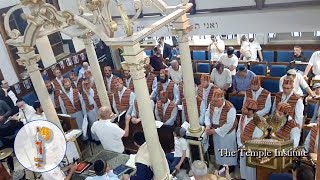 Jerusalem Day with the Temple Institutes Levitical Choir [upl. by Piwowar]