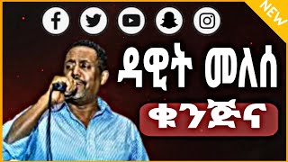 Dawit melese  Kunjina ቁንጅና Amarlood Music With Lyrics [upl. by Elboa]