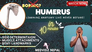 Humerus  Side determination  Muscle attachments  Made easy in 10 min mbbs humerus anatomy [upl. by Ehud964]