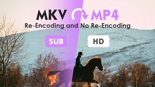 How to Convert MKV to MP4 withwithout Reencoding  on Windows amp Mac [upl. by Hime]