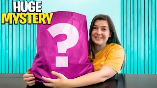 Opening a HUGE ✨MYSTERY✨Box of Fidget Toys 🥳 Mrs Bench [upl. by Yv]