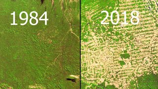 Deforestation Amazon Google Earth Timelapse [upl. by Utas358]