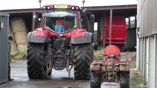 John Deere 3350 Feeds Cows With Triolet Feeder [upl. by Enaoj]