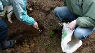 Oregon Truffle Festival  Truffle Dog Training Seminar [upl. by Atinihs765]