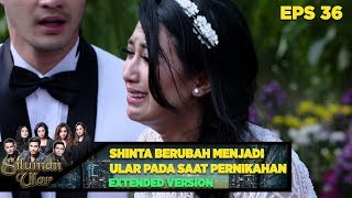 Tak Disangka Semua Orang Kaget melihat Shinta Menjadi Ular  Siluman Ular Eps 36 PART 1 [upl. by Nickola]