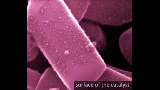 Catalyst for Water Splitting Hydrogen Gas derived from Water  Made by Laser Ablation in Pure Water [upl. by Olnek]