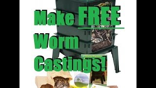 How To Set up a Cheap Worm Bin For Less Than 10 [upl. by Ygief]