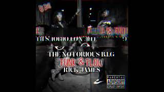 The Notorious BIG x Rick James  Party amp Bullshit [upl. by Mrots155]