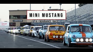 Mini vs Mustangs at Velocity 2023 [upl. by Cote]