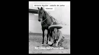 Caballo de patas blancas Antonio Aguilar interpreta Edison Nairo RDerechos de autor reservados [upl. by Ynaffad]