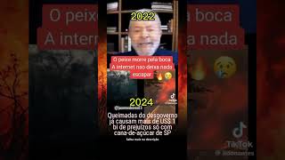 Queimadas do desgoverno já causam mais de US 1 bi de prejuízos só com canadeaçúcar de SP [upl. by Tedmund]