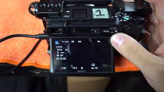 SONY TIMELAPSE APP TUTORIAL  SONY A6300 [upl. by Nylyoj759]