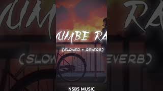 Numbe rasනුබෙ රැස් Zany InzaneDilofor you slowreverbsongNSBSMUSICSL [upl. by Airemahs326]