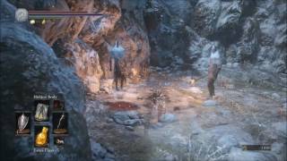 Dark Souls 3 Get to Ashes of Ariandel Corvian Settlement Bonfire [upl. by Gnaoh311]