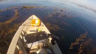 Kayak Fishing Monterey bay rock cod [upl. by Daas17]