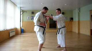 Okinawa Goju Ryu Karate Simultaneous blockamppunch drill [upl. by Cigam]