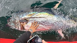 Boater Runs Over our 10000 FISH Commercial Bluefin Tuna Fishing [upl. by Ahsinelg]