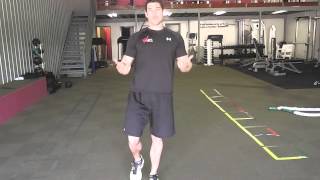 Righting Reflex Balance Exercises  For Improving Balance on Stable Surfaces  Day 135 WellFit 365 [upl. by Origra]