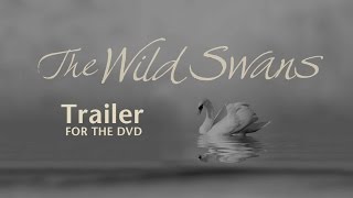 The Wild Swans  trailer for the DVD [upl. by Enilhtak]