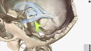 An Overview of the Ventricular System of Brain [upl. by Led640]