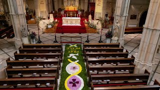 Arundel Cathedral Corpus Christi Carpet Of Flowers 2024 [upl. by Burdett960]