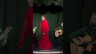 The Most Intense Flamenco Dance You’ll Ever See flamencodancer flamencoperformance [upl. by Ateuqram]