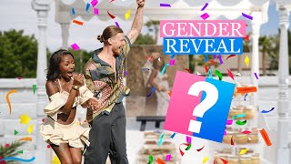 Our Gender Reveal [upl. by Dur]