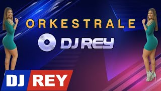 Super Orkestrale Sharki  Remix by Deejay Rey 2022 [upl. by Ailaza927]