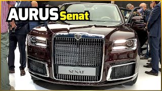 AURUS SENAT  REVIEW Interior and Exterior Walkaround 2019 [upl. by Mccormac910]