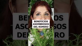 Los 8 Asombrosos Beneficios del Romero Descúbrelos Todos [upl. by Friedly]