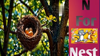 English Alphabet N N For Nest Kids funny video [upl. by Hairim]