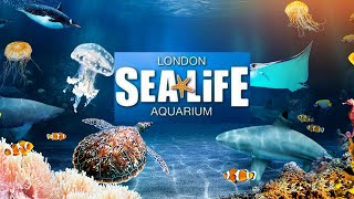 SEA LIFE London Aquarium Vlog August 2022 [upl. by Frazier152]