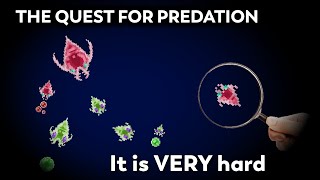 The Evolution of Predation in a Simulated Ecosystem [upl. by Kidd]