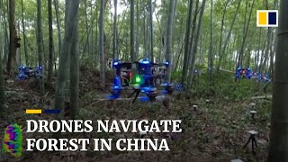 Autonomous drones fly through Chinese bamboo forest [upl. by Leind]